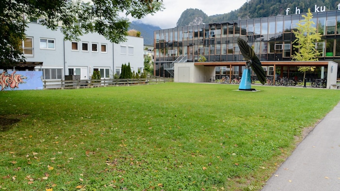 The shocking incident is said to have taken place in this park (file photo).