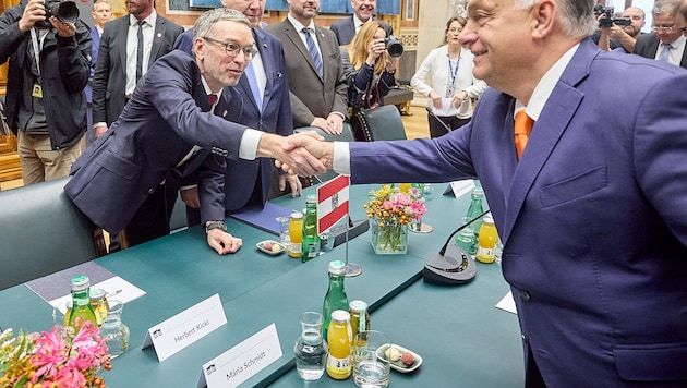 Die FPÖ rollte im Parlament den roten Teppich für Orbán aus.