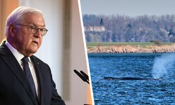 Bundespräsident Frank-Walter Steinmeier (70) will sich bei einem Besuch in Stralsund mit ...