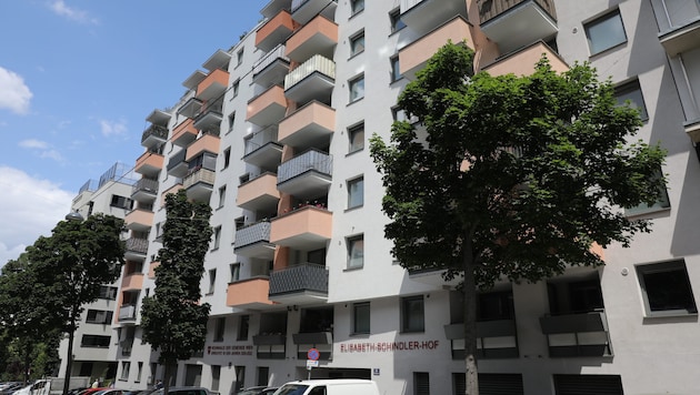 Eine halbe Million Wiener leben in Bauten der Stadt Wien. Die Mieter erhalten jetzt die neue ...