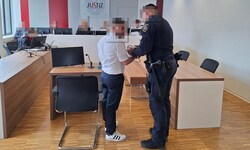 Der Angeklagte musste am Landesgericht klein beigeben.