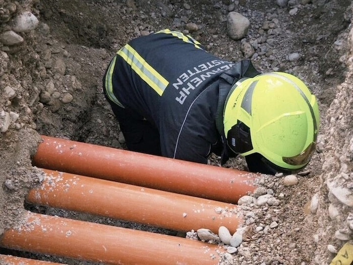 Drei Igel waren in Amstetten in einer Baugrube gefangen.