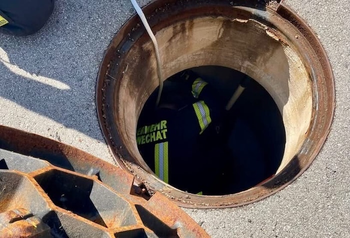 In Schwechat wurde ein Küken aus dem Kanalschacht gerettet.