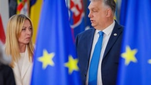 Schwierige Zeiten für Populisten wie Meloni und Orbán in Europa ...