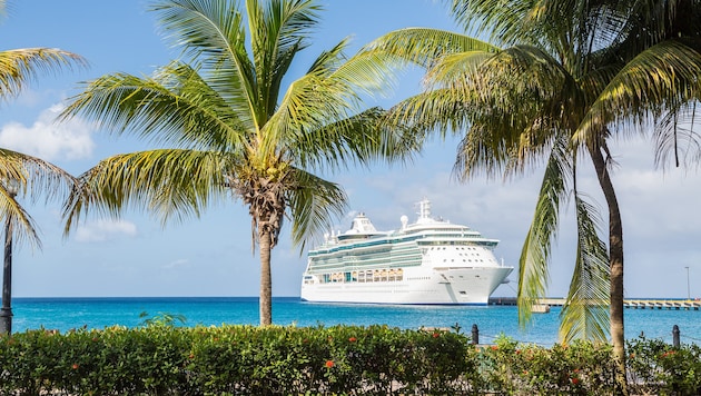 Kreuzfahrten werden im nächsten Winter Ersatzziele in der Karibik oder auf den Kanarischen ...