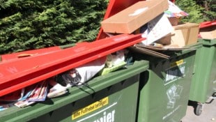 Im Rechtsstreit geht es um Altpapier (Symbolbild).