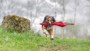 Der April zeigt sich launisch. (Symbolbild)