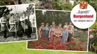 Saisonarbeiter in den Wiener Gärten.