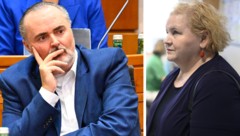 Burgenlands SPÖ-Chef Doskozil attackiert die rote Ministerin Schumann.