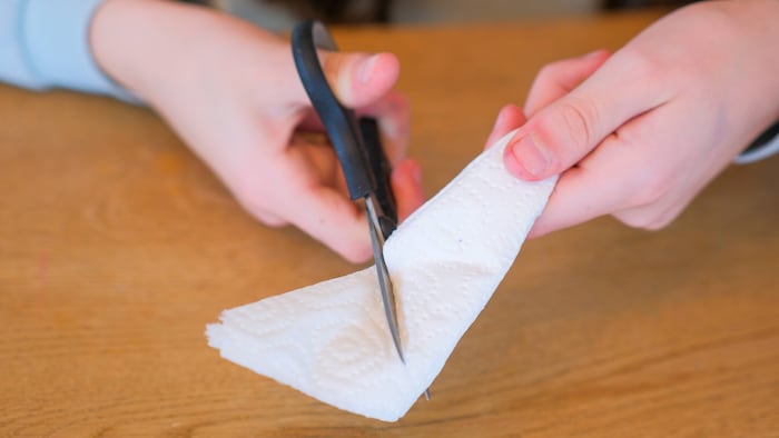 Dafür wird zuerst ein Stück Küchenpapier mehrmals zusammengefaltet und rund zugeschnitten. Nach ...