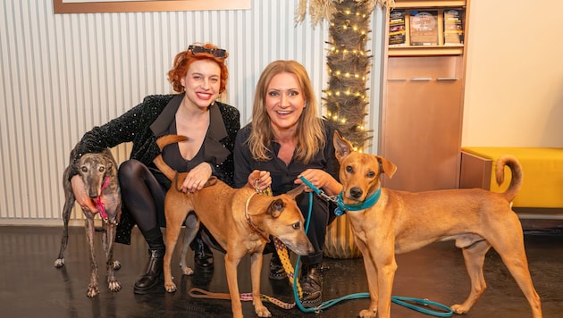 ...auf den Hund gekommen...