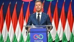 Das neue ungarische Staatsoberhaupt: Péter Magyar