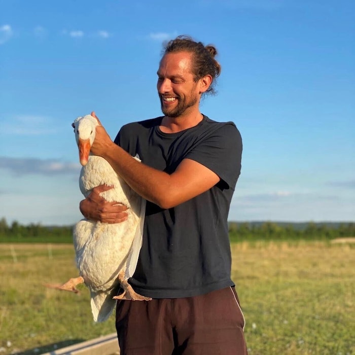 „Meine Entscheidung, mit der Biogänsehaltung aufzuhören, ist fix. Nur wenn sich die ...