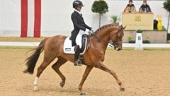 Das Pferdezentrum Stadl-Paura hat internationalen Ruf für Ausbildung, Turnierwesen und Zucht.