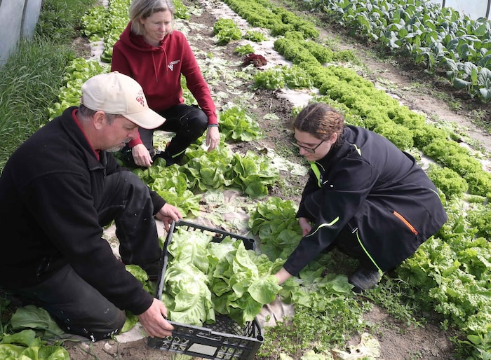 Die Landwirtschaftliche Fachschule in Eisenstadt bietet ihr Gemüse im Ab-Hof-Laden an.