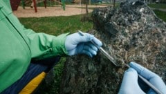 Asbesthaltiger Begrenzungsstein beim Spielplatz in Ollersdorf. Hier wurden Proben genommen.