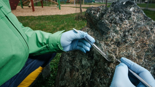 Asbesthaltiger Begrenzungsstein beim Spielplatz in Ollersdorf. Hier wurden Proben genommen.