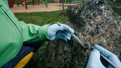 Asbesthaltiger Begrenzungsstein beim Spielplatz in Ollersdorf. Hier wurden Proben genommen.