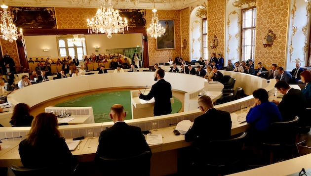 Im Landtag sind alle Parteien für das Reha-Zentrum in Aflenz (stehend: SPÖ-Chef Max Lercher)