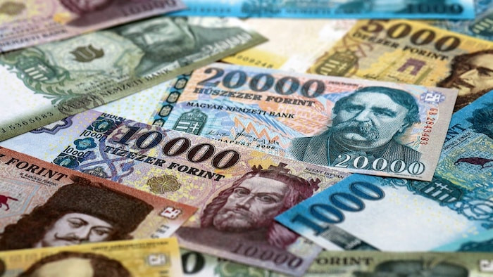 Die offizielle Abkürzung für den ungarischen Forint ist HUF.