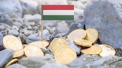 Ungarn ist seit dem 1. Mai 2004 EU-Mitglied, hat den Euro jedoch seither nicht als offizielle ...