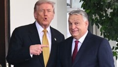 US-Präsident Donald Trump verliert mit Viktor Orbán einen Verbündeten im Kampf gegen illegale ...