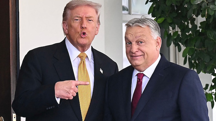 US-Präsident Donald Trump verliert mit Viktor Orbán einen Verbündeten im Kampf gegen illegale ...