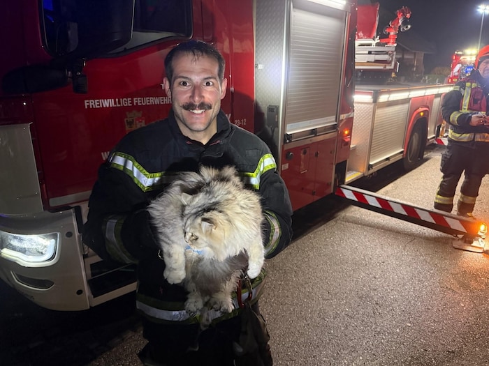 Die Katze des Hausbesitzers wurde gerettet.