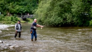 Die heimischen Fischer appellieren an den aktiven Fliegenfischer Bundeskanzler Christian ...