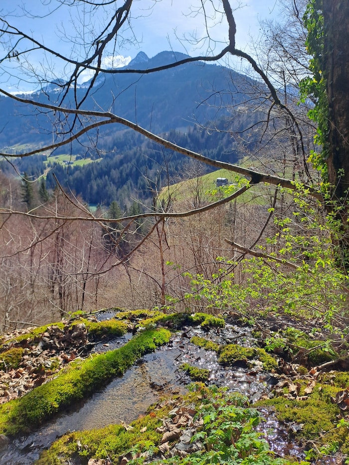 Ausblick von Blons in Richtung Stausee.