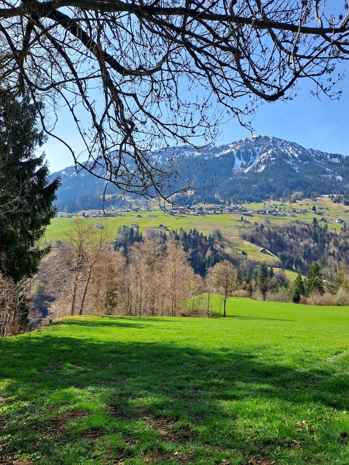 Wanderung über Wald und Wiesen.
