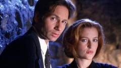 David Duchovny als legendärer Fox Mulder und Gillian Anderson als seine kultige Partnerin Dana ...