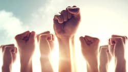 Fast jeder dritte Angestellte setzt sich gegen KI zur Wehr.