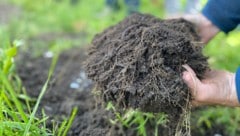 Gemeinsam Asphalt entfernen und neue Vielfalt schaffen – das ist das Ziel des aktuellen Projekts ...