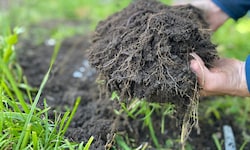 Gemeinsam Asphalt entfernen und neue Vielfalt schaffen – das ist das Ziel des aktuellen Projekts ...