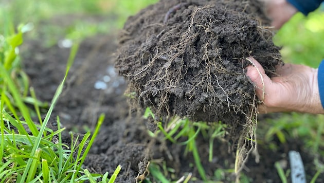 Gemeinsam Asphalt entfernen und neue Vielfalt schaffen – das ist das Ziel des aktuellen Projekts ...