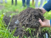 Gemeinsam Asphalt entfernen und neue Vielfalt schaffen – das ist das Ziel des aktuellen Projekts ...