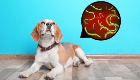 Anfang Mai findet ein kostenloses Seminar in Wien statt, bei dem es auch um das wichtige Thema ...