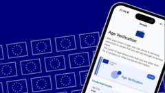 Mithilfe der App sollen Plattformen wie TikTok oder Instagram zuverlässig für zu junge Nutzer ...