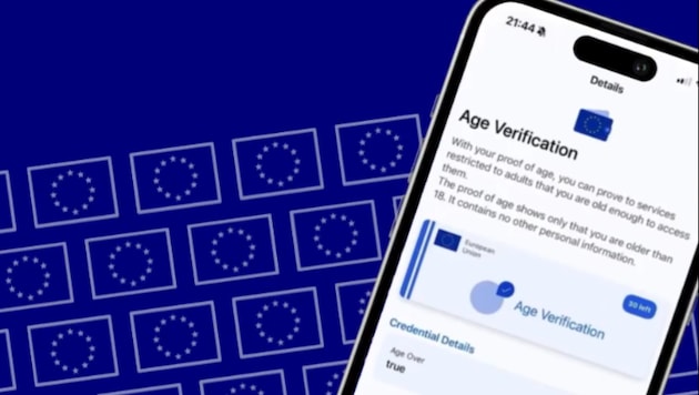 Mithilfe der App sollen Plattformen wie TikTok oder Instagram zuverlässig für zu junge Nutzer ...