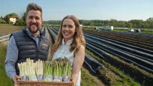 Sechs Hektar Spargelfelder werden auf Paul und Stefanie Schiefermairs Hof bewirtschaftet