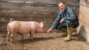 Die Familie Glaboniat wirkt in der Ortschaft Grafenbach schon in fünfter Generation. Im Bild: ...