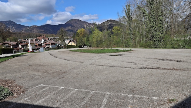 Der Parkplatz in der Dumbastraße wird renaturiert. Dass dabei eine Eiche gefällt wurde, stößt ...