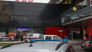 Auch aus Linz waren Polizeibeamte im Einsatz