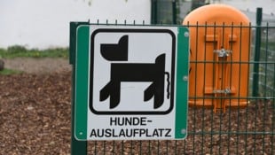 Schauplatz der Szenen war eine Hundezone in Wien (Symbolbild).
