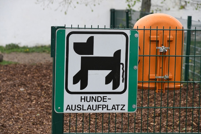 Schauplatz der Szenen war eine Hundezone in Wien (Symbolbild).