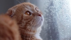 Wer einen Wochenendausflug plant, sollte dies am Samstag erledigen. Ab Sonntag wird es ...