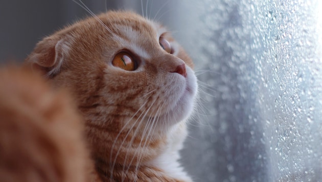 Wer einen Wochenendausflug plant, sollte dies am Samstag erledigen. Ab Sonntag wird es ...