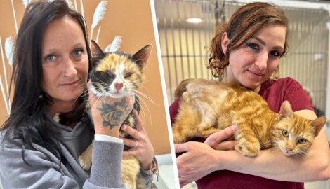 Teure Behandlungskosten: Kathrin Hofbauer mit „Zuco“ (li.) und Brigitte Kainz mit „Maja“