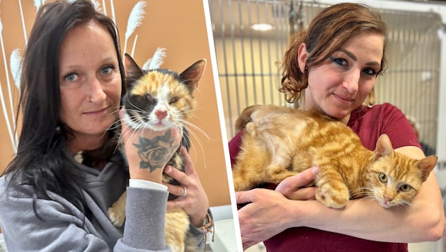 Teure Behandlungskosten: Kathrin Hofbauer mit „Zuco“ (li.) und Brigitte Kainz mit „Maja“